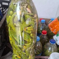 خیارشور ریز بطری ۱/۵ لیتری