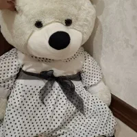 عروسک خرس در حد نو و تمیز