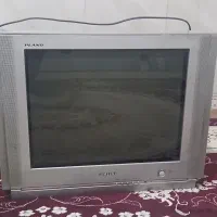 تلویزیون
