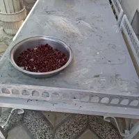 فروش تخت فلزی