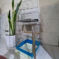 قفس پرنده