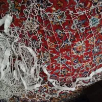 تور والیبال سالم