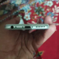 333|موبایل|بوشهر, |دیوار