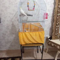 قفس پرنده با پایه