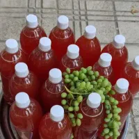 محصولات طبیعت ...