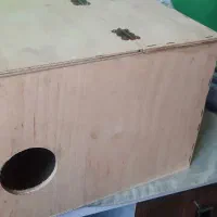 لانه عروس هلندی نو
