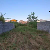 زمین پیل علی باغ قبل پل کمربندی