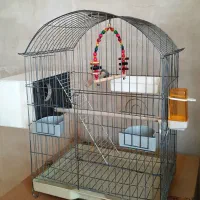قفس پرنده