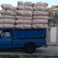 خرید و فروش کاه