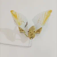 روشنایی گازی