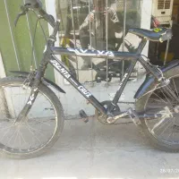 دوچرخه  ویوا