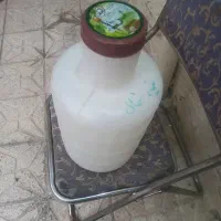 دبه خیار شور