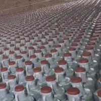 خیار شور درجه یک همدان