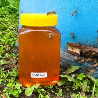 عسل ۱۰۰٪ طبیعی اردبیل (مهر سبلان) فوق ممتاز