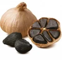 نمایندگی سیرسیاه درمان ضدسرطان تقویت قوای جنسی جسم