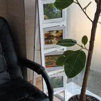استند چوبی عکس ، مناسب خانه مغازه کافه کاملا سالم