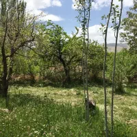 فروش باغ