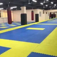 باشگاه رزمی شهرامام