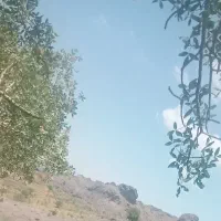 زمین کوهستان
