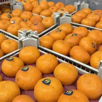 نیازمند کارگر برای کار در میدانبار توضیحات کامله