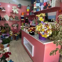 دکور|فروشگاه و مغازه|شیراز, دکتر حسابی|دیوار