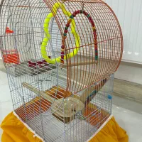 قفس پرنده