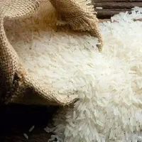 فروش برنج هاشمی درجه یک