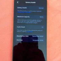 16 pro Max|موبایل|شیراز, قدوسی شرقی|دیوار