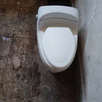 توالت فرنگی