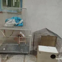 قفس بزرگ و کوچک