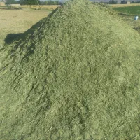 کاه یونجه