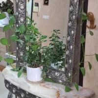 آینه کنسول همراه شمعدونی برنجی