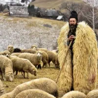 کار چوپانی در سبزوار