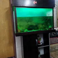 آکواریوم و به همراه پمپ هوا و تصفیه