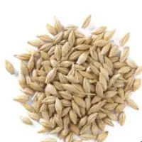فروش یک تن و خورده ای جو