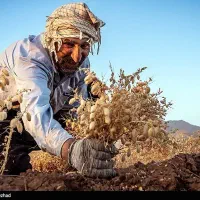 نیازبه کارگر دارم