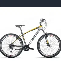 دوچرخ ویوا ۲۰۲۵ زیر قیمت فوری سایز ۲۹