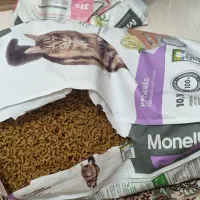 فروش غذای خشک مونلو مخصوص گربه بالغ