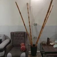چوب بامبو و گلدان