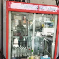 یخجال ایستاده