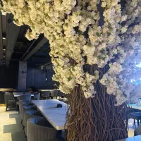 سالن کار و وسط کار آشپزخانه رستوران