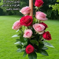 فروش سیم کارت