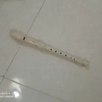 فلوت
