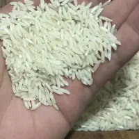 برنج طارم هاشمی درجه یک مازندران