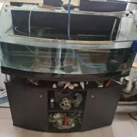 اکواریم شرکتی همراه با سه عدد ماهی بزرک