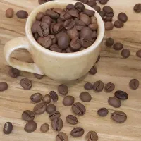 استخدام سالندار ، باریستا ، شاطر نان تنوری