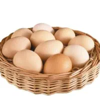 فروش تخم مرغ محلی دونه ای ۱۶ تومن