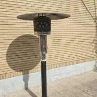 بخاری و هیتر قارچی