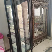 ویترین نو جنس