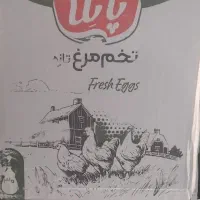 تخم مرغ